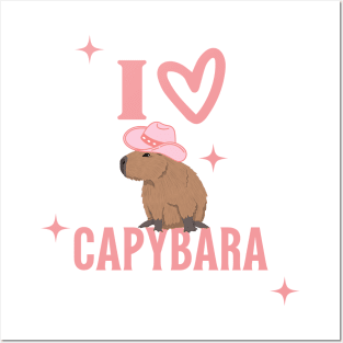 Capybara Preppy Aesthetic Posters and Art